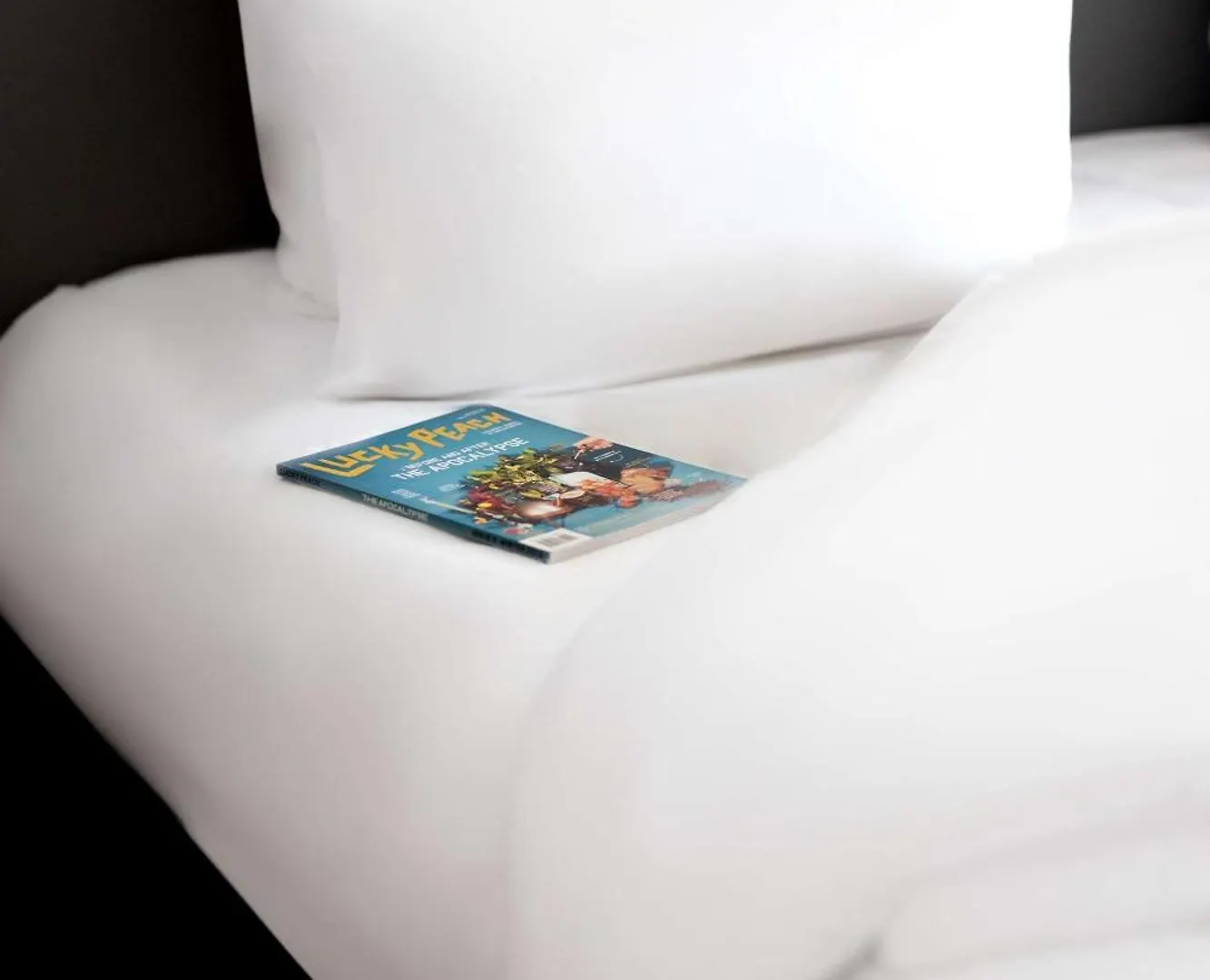 Otel Pentahotel Brussels City Centre Saint-Gilles